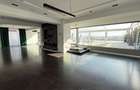 REA1022522 Penthouse I View Spectaculos I Aviatiei - 4