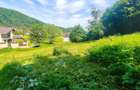 Teren Intravilan - 6