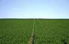 Teren agricol! - 1