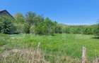 Teren intravilan 2200 mp, acces asfalt, pădure – Cuieș, 20 minute de Deva - 1