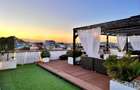 PENTHOUSE 180 MP , 250 MP TERASA,  PRIVELISTE DEOSEBITA ! - 17