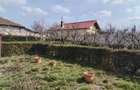 NEGRU VODA(cod04)-Casa 5 camere- Central - 1