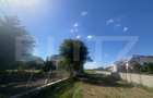 Teren de vanzare, 8300 mp, zona Botizului - 2