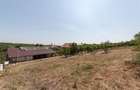 0% Comision !!  CASA PODUL BROSTENI - ARGES - 9