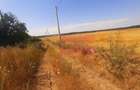 Teren pentru casă/case în Brănești pe strada Toporași - 20