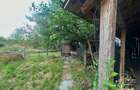 Casa cu anexe si teren de 959 mp de vanzare in Tinca - Bihor - 38