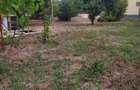 CASA SUPERBA 4 CAMERE ZONA VALU LUI TRAIAN 933MP - 35