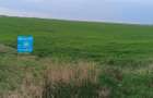 Teren extravilan 5 hectare ( zonă industrială ) Șag - 14