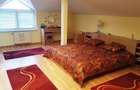 Drumul Negru - Pipera, vila P+1E, locatie linistita - 10