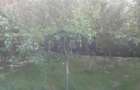 Vila individuala spatioasa cu gradina - 2