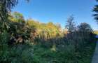Teren Intravilan Unic pe Malul Lacului Snagov – Ideal pentru Cabana Ta - 6
