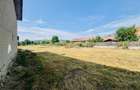 Proprietate cu gospodărie completă - teren 4300 mp – loc. Seica Mare - 16