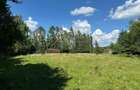 Teren intravilan 5.755 mp | Zona Muzeul Satului Maramureșean, Sighetu Marmației - 4