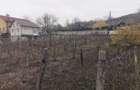 De vanzare casa in Argetoaia cu teren 7.000 mp - 6