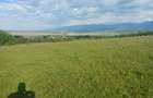 Teren extravilan Bradu - zona cu panorama superba - 7
