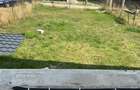 Casă P+E la roșu, Strejnicu (Ploiești) – teren 360 mp, 3 dormitoare - 14