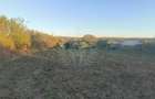 TEREN INTRAVILAN  PLOPU//3000 MP - 1