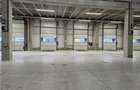 Spatiu Industrial - 6000 mp - Logistica - Productie - Depozitare - Distributie - 1