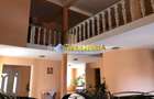 Casa deosebita  D+P+E de vanzare CETATE cu 900 mp. teren - 6
