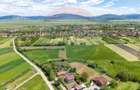 Teren 25.100 mp cu potențial major de dezvoltare în Prejmer - 11