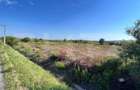 Teren intravilan, 2559 mp, zona Sitoaia - 1
