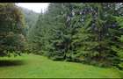 Vila  superba Sinaia, suprafata 627mp cu gradina parc4000 mp