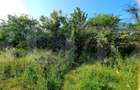 Teren cu panorama deosebita, suprafata de 3300mp, zona Wonderland