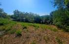 Teren intravilan 2322 mp, Păcuri – vedere superbă spre pădure! - 6