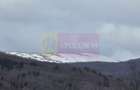 Teren intravilan 2200 mp de vanzare in Valea Doftanei - 7