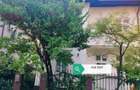Vila cu prestigiu, D+P+E+M,  pozitie exceptionala langa Palatul  Cotroceni - 15