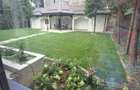 VILA REMARCABILA  CU GRADINA IN ZONA UNIRII - 3
