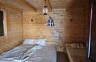 Casă de vacanță cu 6 camere + teren suprafață 7.384 mp, Brădet, Bihor - 16