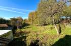 Casă individuală, 440 mp teren, cartier Dâmbul Rotund - 7