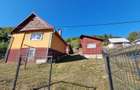 Exclusivitate! Casă in Avram Iancu cu teren de 26.621 mp, 4 camere - 1