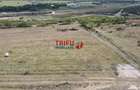 Teren pentru relaxare și agricultură în Barabant, Alba Iulia – Ex - 10