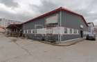 Doua hale / spatiu industrial + birouri 5000 mp / Sector 4 - 5