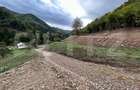 Teren intravilan 1,1 Ha, zona Bargau - 5