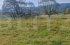 Teren intravilan, 1322 mp, zona Vatra Dornei - 10