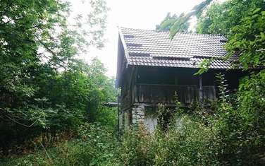 Terenuri la Munte - 10 Parcele si casa din lemn in Bulzestii de Sus, Apuseni
