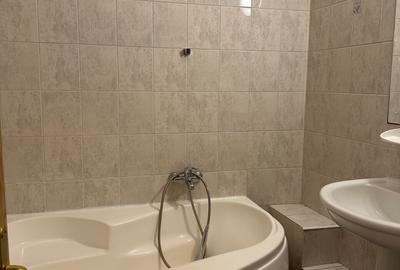 Decebal - Piata Muncii 3 camere mobilate 2 bai 650 Euro - 13