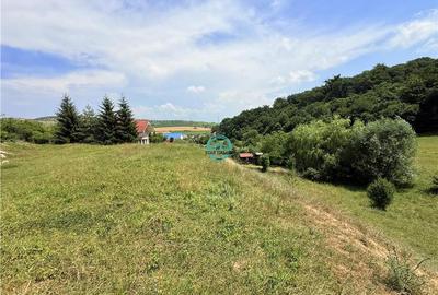 Vand teren 2500 mp in Unirii zona Laboratorului Denisa - 6
