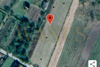 Teren Construcții intravilan de 4200 mp, în Băișoara