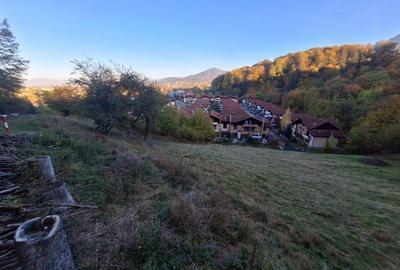 Teren intravilan Brasov Strada Ciresului 2900 mp - 7