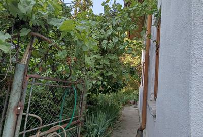 CASA SINGUR CURTE PTA UNIRII TEREN IN PROPRIETATE 620MP POTENTIAL ENORM, DIVER - 7