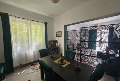 Casă individuală cu SAD, P+M, 2 apartamente, Timișoara, zona Lipovei, comision 0 - 6