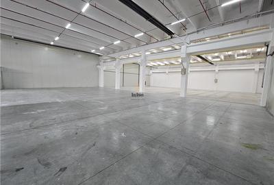 Spatiu Comercial - 900 mp - Showroom - Depozitare - 5