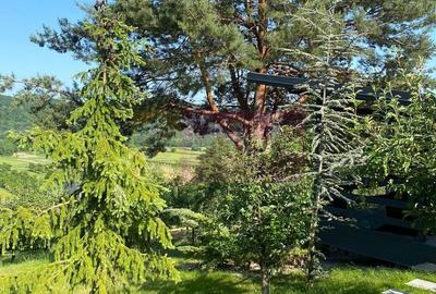 Cabane A frame + Teren 6000 mp |  Proprietate deosebita, NOU - 22