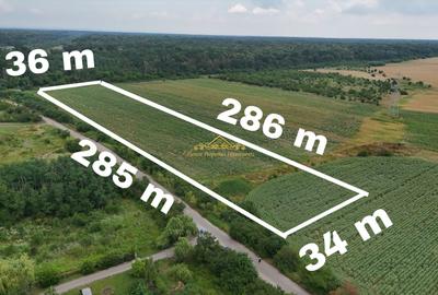 Teren Construcții intravilan de 10000 mp, în Periș