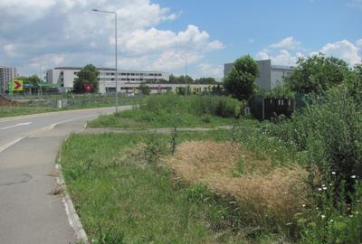 Prelungirea Ghencea, Stradal, Pasaj Domnesti - 2