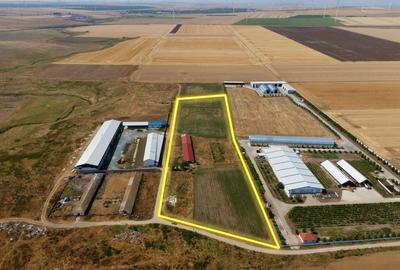 Cogealac - Tariverde – Ferma cu teren intravilan, utilitati racordate! - 3